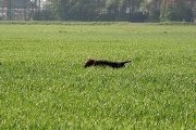 VJP 2007- 043.jpg